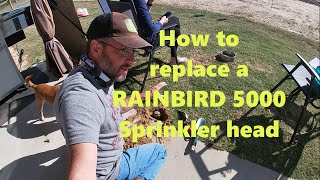 How to Replace a Rainbird 5000 Sprinkler Head [upl. by Azriel77]