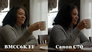 Blackmagic Cinema Camera 6K Full Frame  Dynamic Range Breakdown  VS Canon C70 [upl. by Lachish]