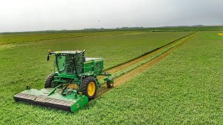 SelfPropelled W260 Swathing Alfalfa [upl. by Avin198]