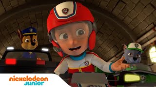 PAW Patrol  La PatPatrouille devient un chevalier  Dragons et dinosaures  Nickelodeon Jr France [upl. by Amadeo]