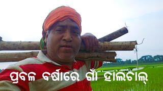 ପ୍ରବଳ ବର୍ଷାରେ ଗାଁ ହାଲଚାଲ Gouranganayakodiavlogs [upl. by Ynnaj274]