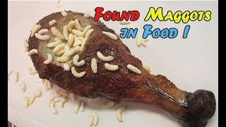 SICKENING  FOUND MAGGOTS IN DAILY FOOD [upl. by Mic306]