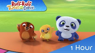 🐶🐼🐤 RUFFRUFF TWEET AND DAVE 1 Hour  1318  VIDEOS and CARTOONS FOR KIDS [upl. by Adnohrahs]