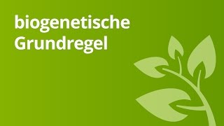 Überblick über die biogenetische Grundregel  Biologie  Genetik [upl. by Aeirdna]