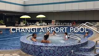 Changi Airport Rooftop Pool T1  Singapore Airport Swimming Pool  Transit at Singapore Airport [upl. by Oriana]