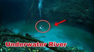 Cenote Angelita  Underwater River Mexico 🇲🇽 [upl. by Nemhauser]