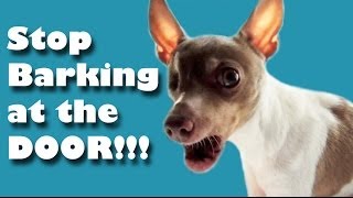 Stop barking at the door  Dog Training [upl. by Sorvats]