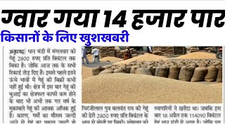 ग्वार का ताजा भाव 12 जुलाई 2024 आज ग्वार में कितनी आई तेजी देखें भाव gwar ka bhav guar seed price [upl. by Papke]