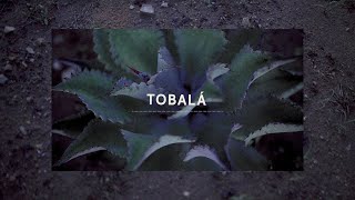 Taste Tobalá  THE LOST EXPLORER MEZCAL [upl. by Lexi]