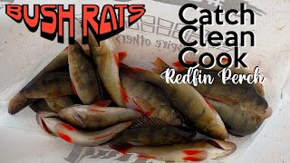 Redfin Perch Catch and Cook  How to Catch Cook Clean 5 Steps [upl. by Zulch]