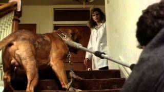 Turner And Hooch  Trailer [upl. by Essy]