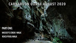 Carnarvon Gorge August 2020 Part One [upl. by Drofnelg528]