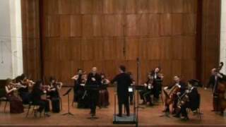 Mercadante flute concerto e moll 3 rondò Di Giorgi  flauto Ficiur  cond Belgrade Strings [upl. by Nylrahs]