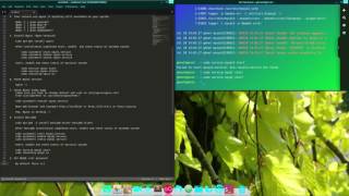 How to install LEMP Server Nginx PHP 70 MariaDB amp phpMyAdmin on Linux Mint 18 Sarah  Part 2 [upl. by Dixil]