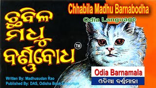 Odia Barnamala  ଓଡିଆ ବର୍ଣମାଳା  Barnabodha  Chhabila Madhu Barnabodha [upl. by Dhumma168]