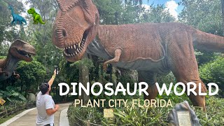 Limitless Florida Dinosaur World in Plant City Allows Hunter to Be Himself [upl. by Nylkoorb]