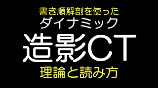 診療放射線技師が教える XP・CT・MRIの違い｜鳥取赤十字病院 [upl. by Ahsirak48]