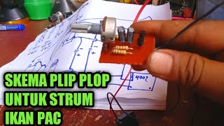 SKEMA PLIP PLOP STRUM PAC [upl. by Dranreb]