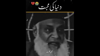 Duniya Ki Mohabbat 🥰 by Dr Israr Ahmed 😭  shorts ytshorts islam [upl. by Oinoitna367]