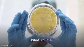 what is MRSA [upl. by Elbag]