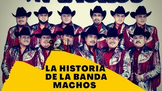 LA HISTORIA DE BANDA MACHOS 2020 [upl. by Damali]