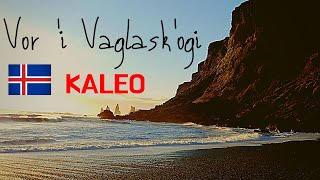 Vor í Vaglaskógi  KALEO Pronunciation [upl. by Yatnuahc]