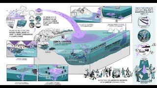 Ocean Carbon Dioxide Removal CDR  a ClimateWorks production [upl. by Octavla490]