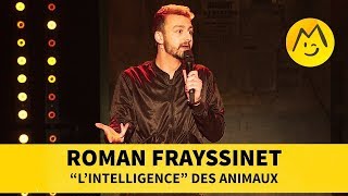 Roman Frayssinet  quotLintelligencequot des animaux [upl. by Emelda]