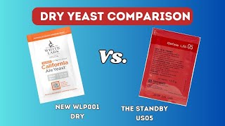 WLP001 vs US05 Dry Yeast Comparison  Brew Dudes [upl. by Ettelohcin378]