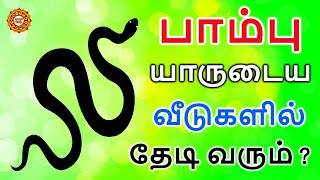 பாம்பு வீட்டிற்குள் வந்தால் என்ன பலன்  pambu veetuku vanthal enna palan  veetil pambu vanthal [upl. by Nesmat]