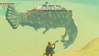 How to beat Molduking The Legend of Zelda BOTW  Fight the Brute of the Sand Molduking Boss [upl. by Gamali579]