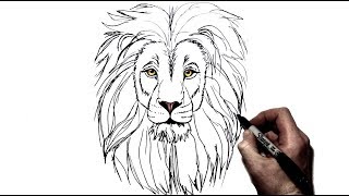 How to Draw a Lion  Step by Step [upl. by Airreis331]