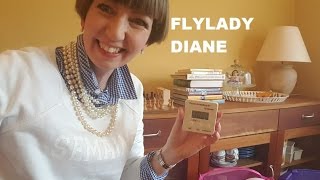 Flylady Diane  Zone 1 Declutter April 2017 [upl. by Atirehc416]