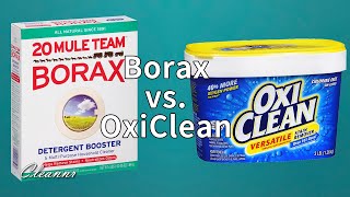 Borax vs Oxiclean What is the difference [upl. by Anelej]