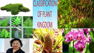 CLASSIFICATION OF PLANTKINGDOM [upl. by Haisa]