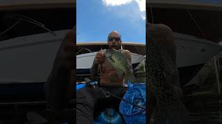 Finally Located Spring Crappie in Washington  crappie fishing kayakfishing [upl. by Reinhart237]