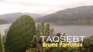 Taksebt Brume ParfuméeAlgPix [upl. by Imalda]