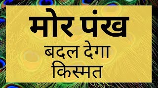 Benefits of Peacock feather Mor Pankh as per Vaastu SHastra  वास्तु शास्त्र में मोर पंख के फायदे [upl. by Rez]