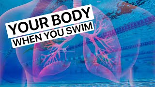 What Happens To Your Body When You Swim [upl. by Ralaigh]