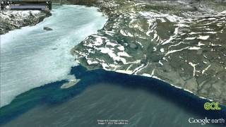 Arctic Tern Migration Google Earth Tour Video [upl. by Hterag]