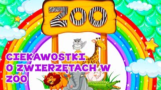 Zwierzęta ZOO dla dzieci Dzikie zwierzęta ciekawostki bajka dla dzieci [upl. by Amehsyt668]