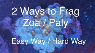 2 Ways to Frag Zoanthids  Palythoas  Zoa  Paly Fragging Saltwater Coral Reef Aquarium [upl. by Squires37]