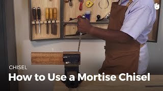 How to Use a Mortise Chisel  Woodworking [upl. by Ianaj]