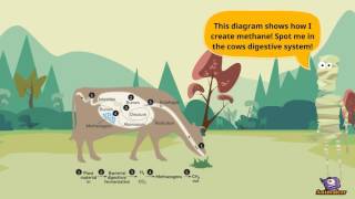 Methanogens [upl. by Holihs]