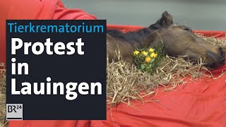 Tierkrematorium Lauingen Pietätlos oder Chance für die Stadt  BR24 [upl. by Reidar47]