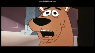 Scooby Doo Where Are You On Boomerang Intro Kids Wb Tbs Tnt Cartoon Network Hbo Max 2021 [upl. by Horst734]