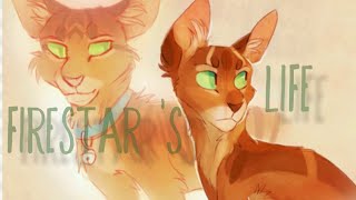 Firestar s Life  Warriors  In the name of love [upl. by Thema]