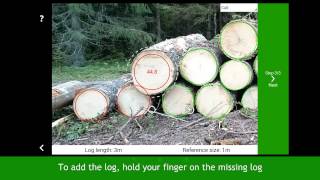 2 Diameter – How to measure log count and diameters video ENG Timbeter [upl. by Eerpud]