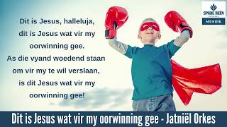 Dit is Jesus wat vir my oorwinning gee [upl. by Ecnerret]