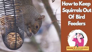 A Squirrel Proof Bird Feeder that works Easy inexpensive DIY solution 2 hours less than 20 [upl. by Iknarf404]